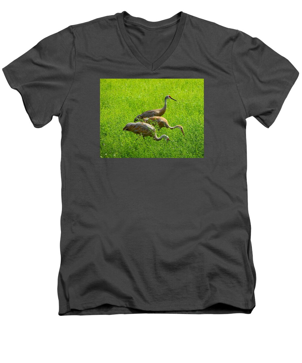 Sandhill Crane Men's V-Neck T-Shirt featuring the photograph Watch Out by Kimberly Woyak