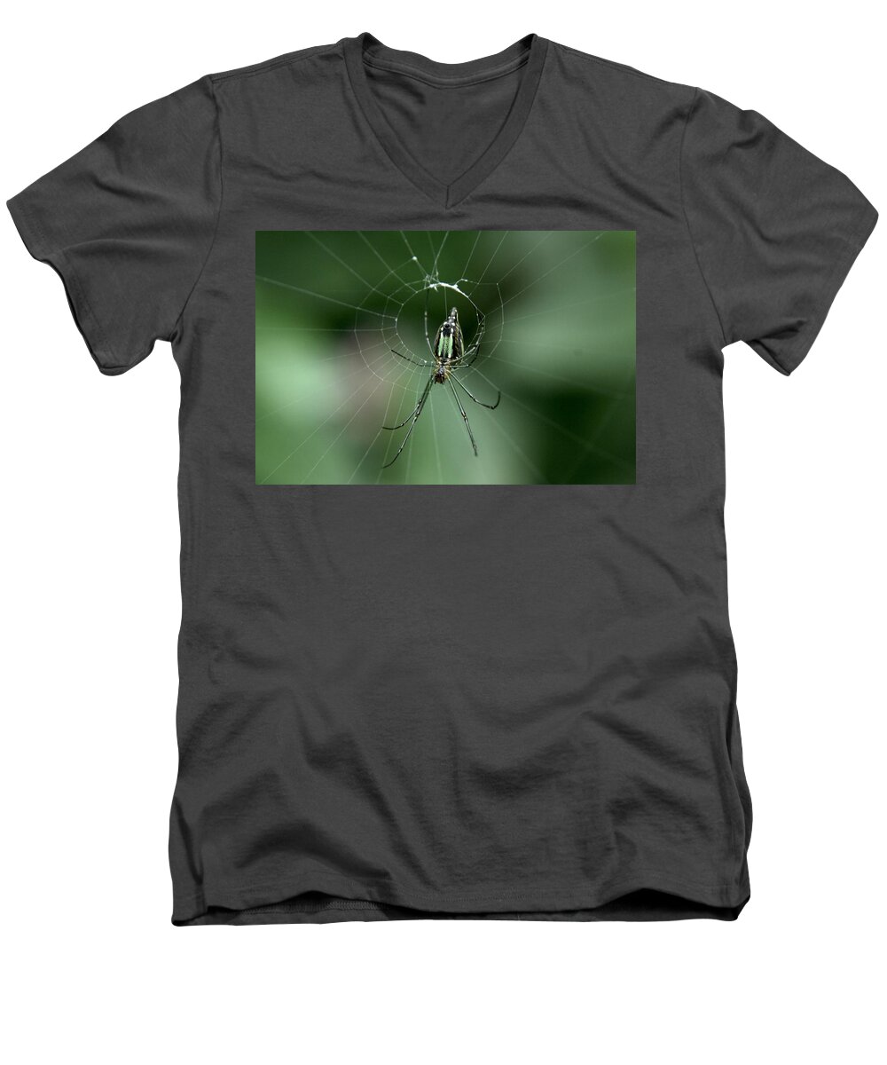 Wasp Larva Men's V-Neck T-Shirt featuring the photograph Web Site - Orchard Spider by Ramabhadran Thirupattur