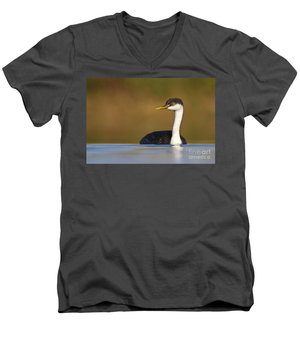 Grebe Men's V-Neck T-Shirt featuring the photograph Western Grebe on the Lake by Bryan Keil