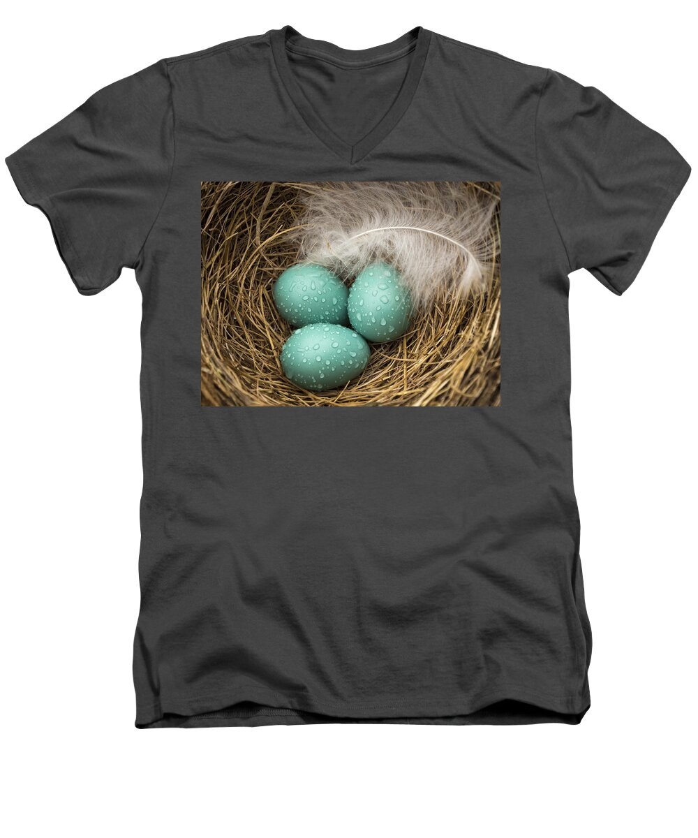 Eggs Men's V-Neck T-Shirt featuring the photograph Wet Trio of Robins Eggs by Jean Noren
