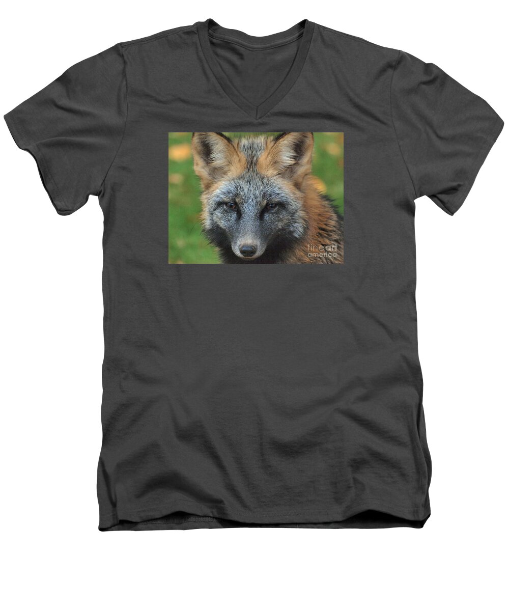 Fox Men's V-Neck T-Shirt featuring the photograph What The Fox Said by Vivian Martin