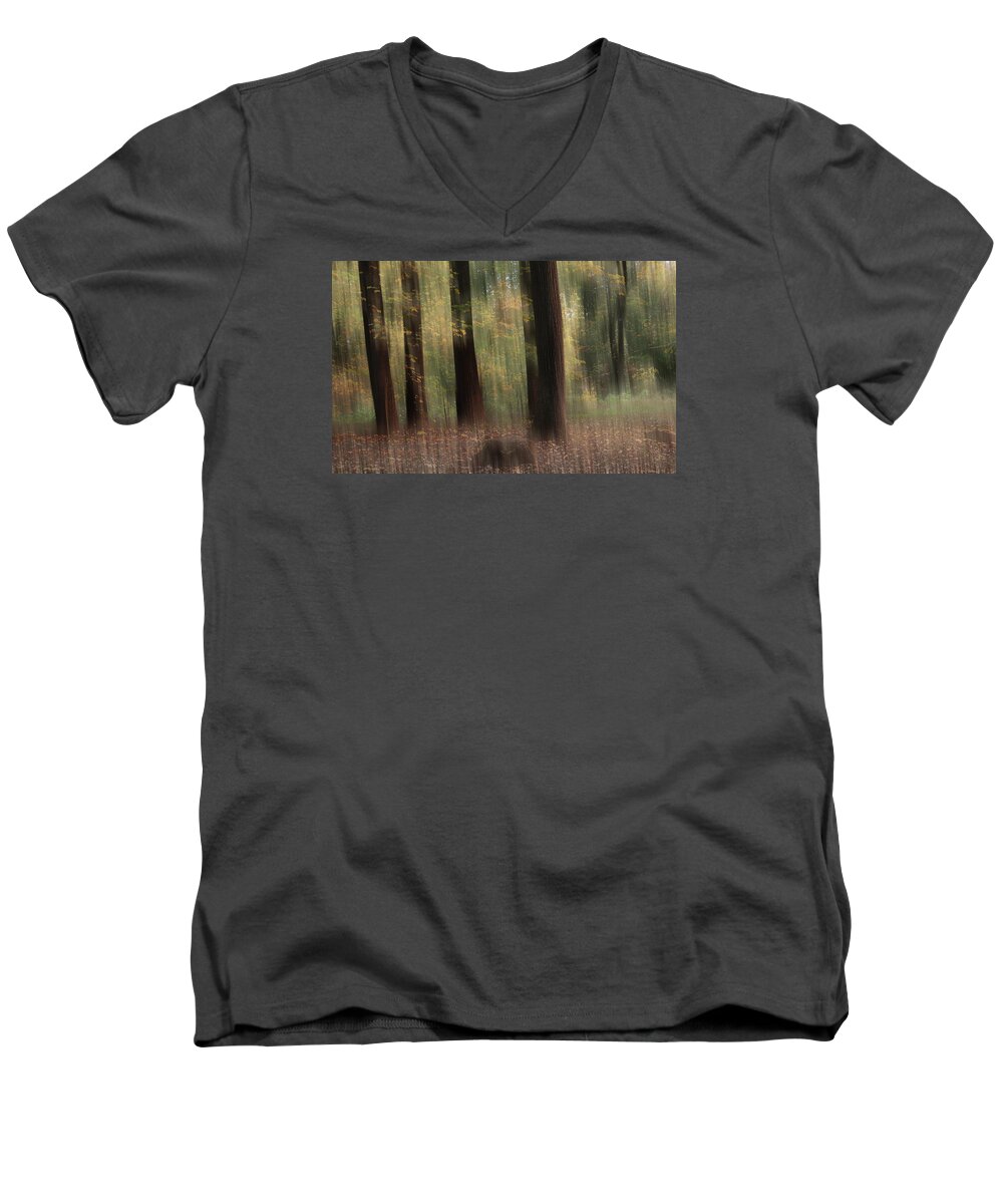 Fairy Men's V-Neck T-Shirt featuring the photograph Where Faeries Play by Photographic Arts And Design Studio