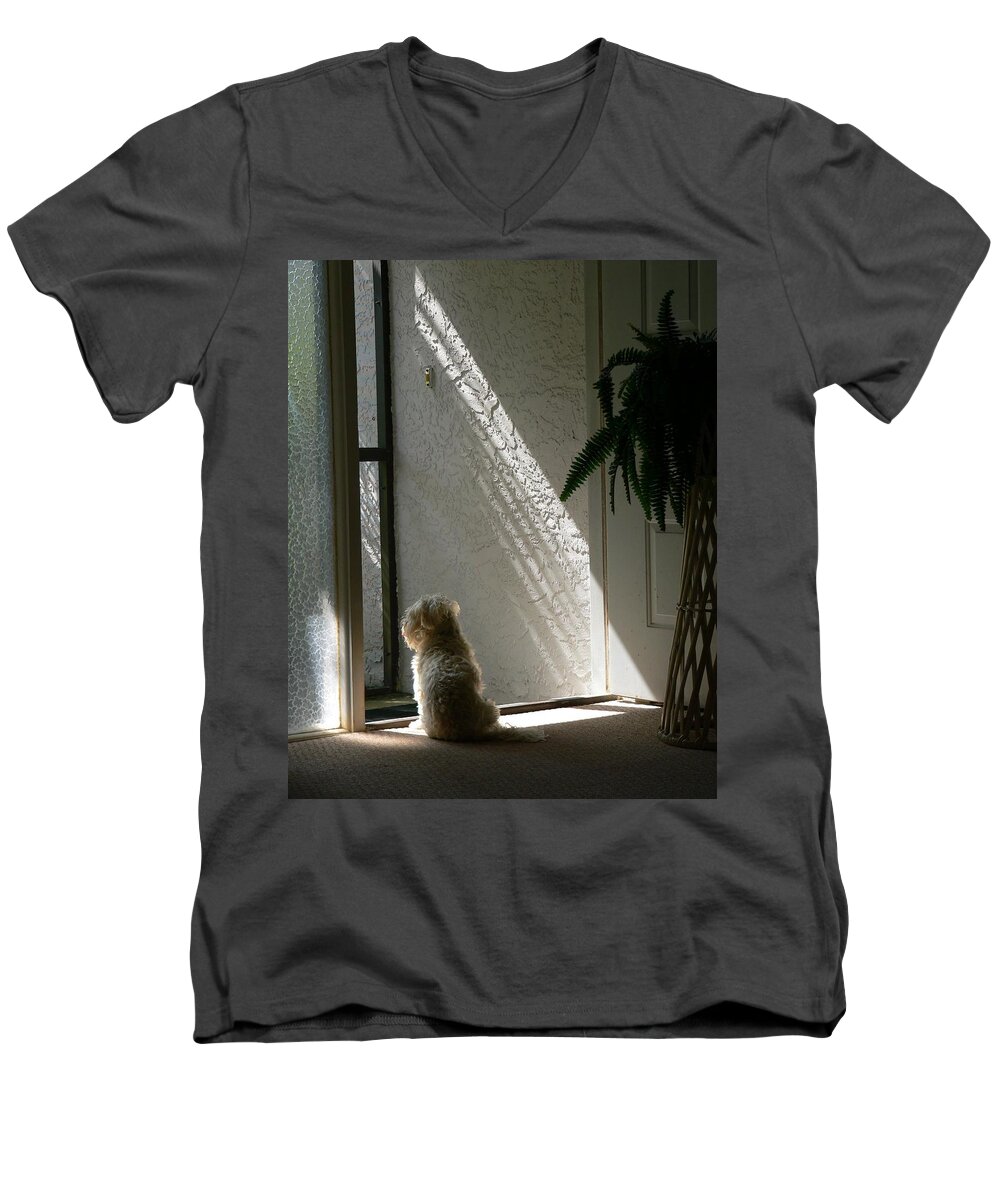 Dogs Men's V-Neck T-Shirt featuring the photograph Where's Dad by Rosalie Scanlon