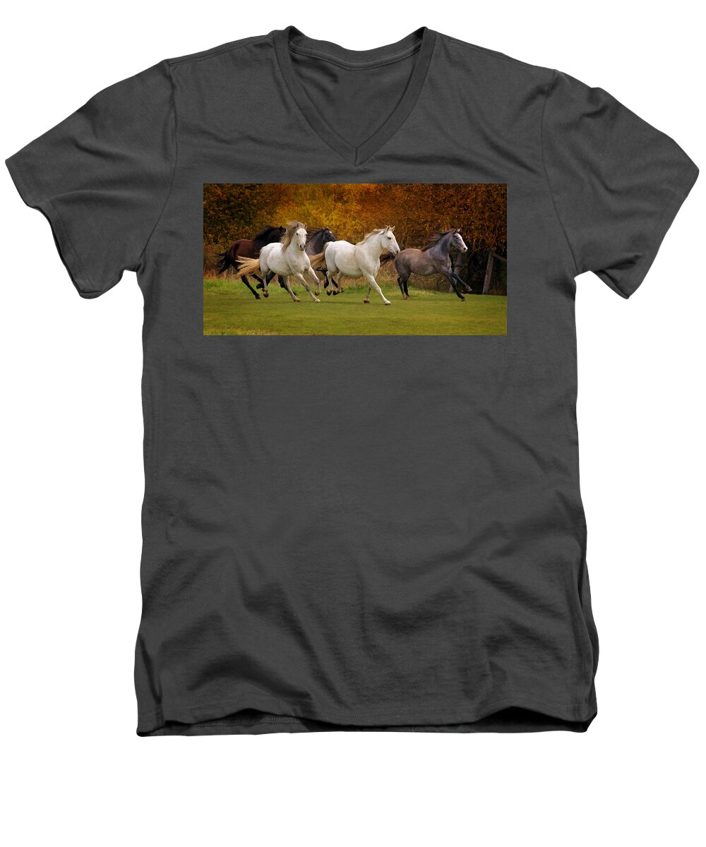 White Horse Vale Lipizzans Men's V-Neck T-Shirt featuring the photograph White Horse Vale Lipizzans by Wes and Dotty Weber