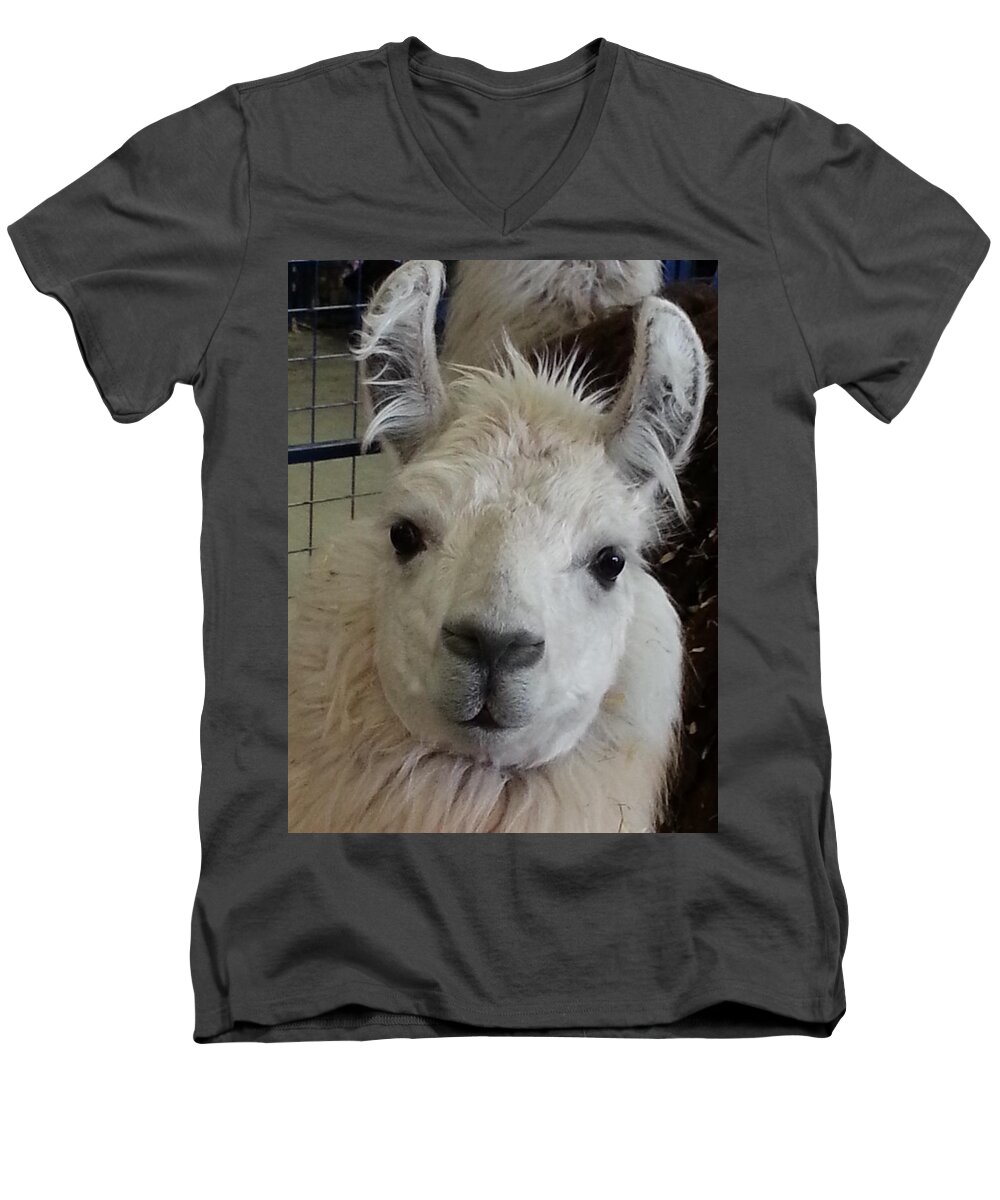Llama Men's V-Neck T-Shirt featuring the photograph Who Me Llama by Caryl J Bohn