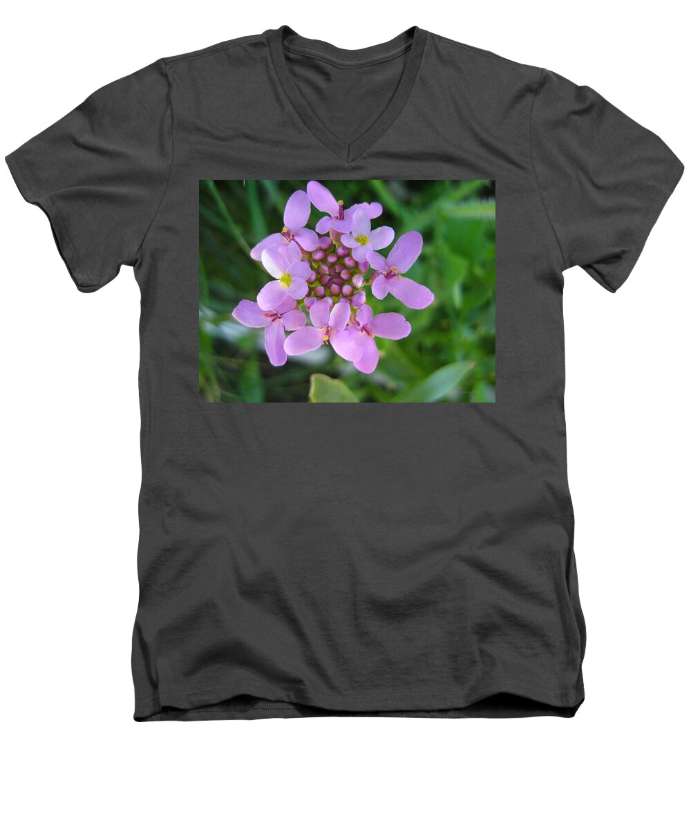 Flora Men's V-Neck T-Shirt featuring the photograph Wildflower by Kathy Bassett