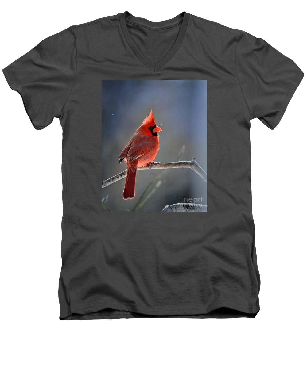 Nature Men's V-Neck T-Shirt featuring the photograph Winter Morning Cardinal by Nava Thompson