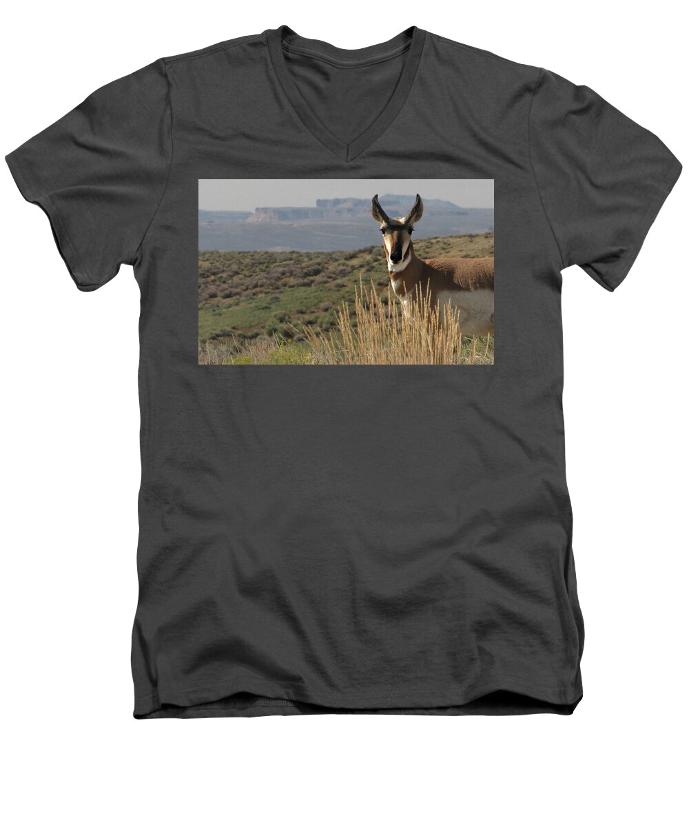 Flaming Gorge Men's V-Neck T-Shirt featuring the photograph Wyoming Pronghorn by KATIE Vigil