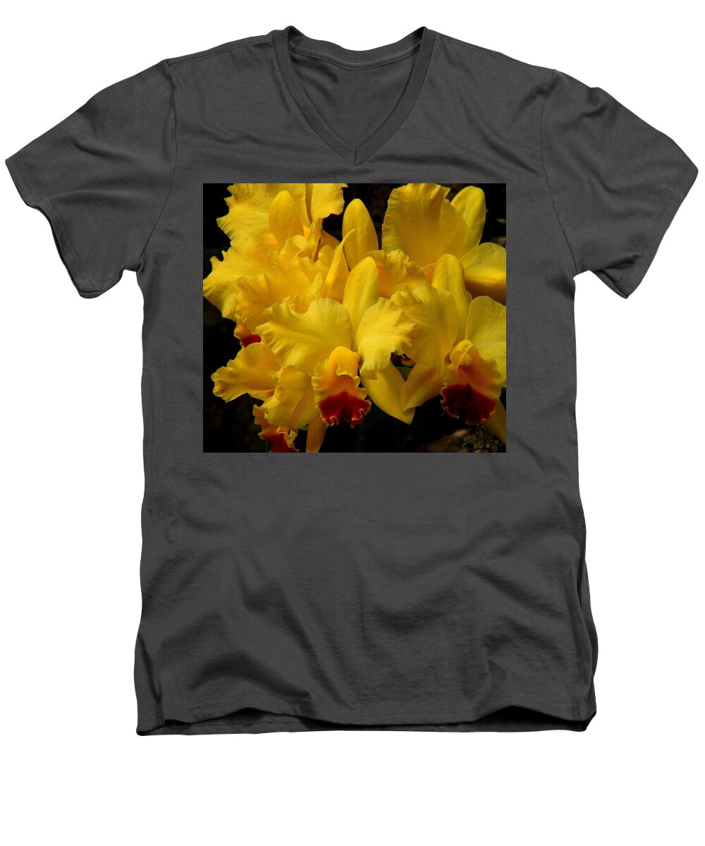 Fine Art Men's V-Neck T-Shirt featuring the photograph Yellow Folds by Rodney Lee Williams