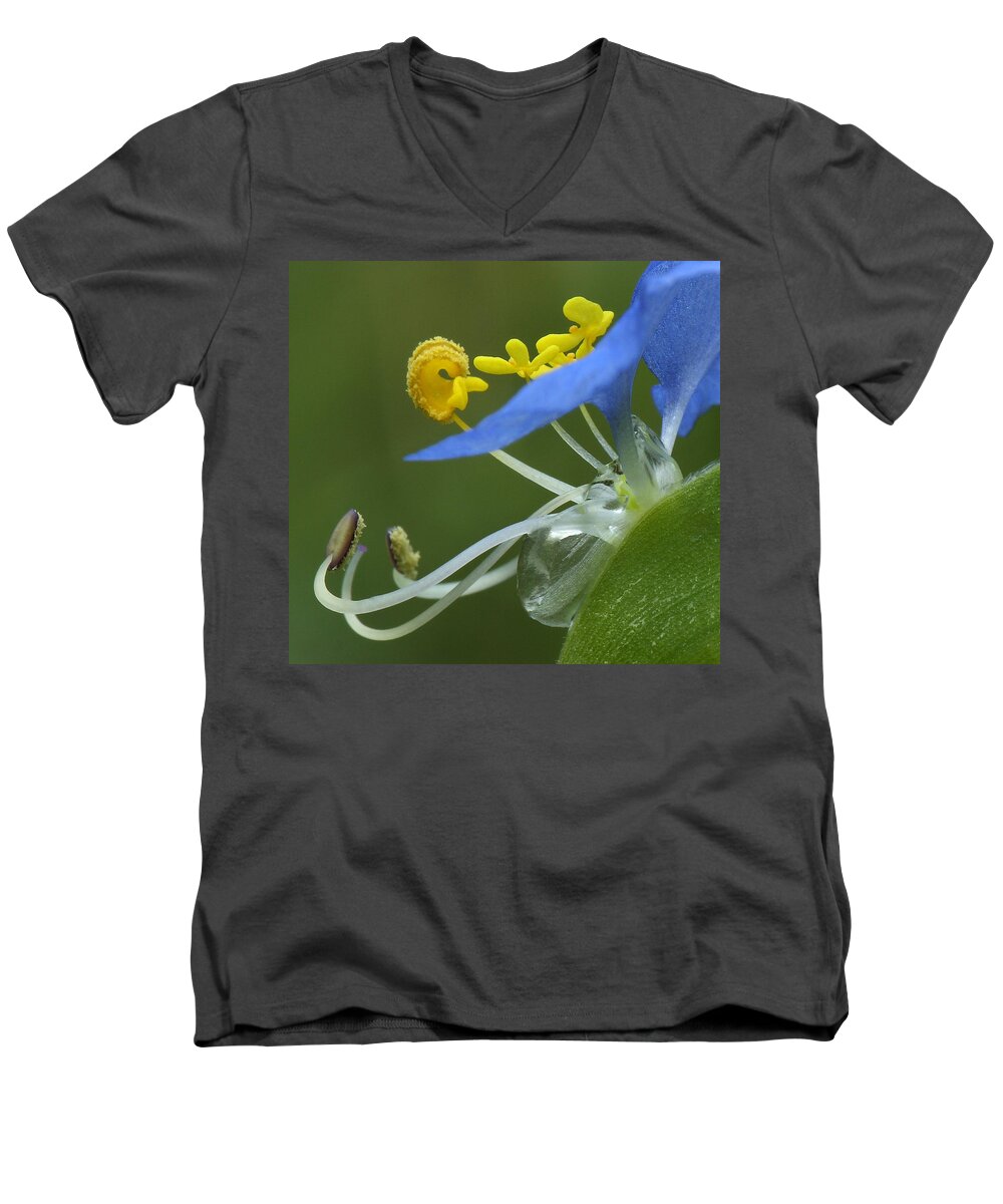 Slender Dayflower Men's V-Neck T-Shirt featuring the photograph Close View Of Slender Dayflower Flower With Dew by Daniel Reed
