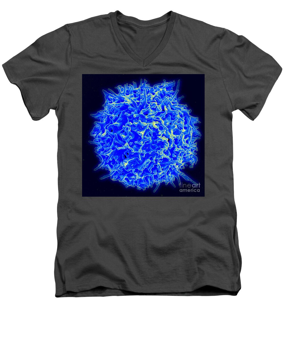 Biology Men's V-Neck T-Shirt featuring the photograph Healthy Human T Cell, Sem #1 by Science Source