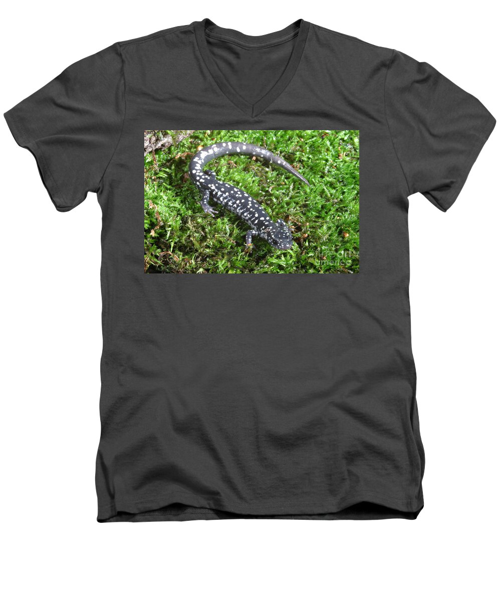 Animal Men's V-Neck T-Shirt featuring the photograph Slimy Salamander #1 by Ted Kinsman