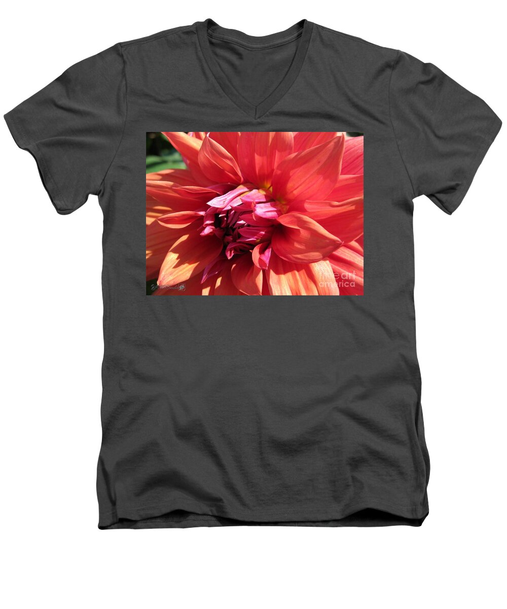 Mccombie Men's V-Neck T-Shirt featuring the photograph Dahlia named Color Spectacle #1 by J McCombie