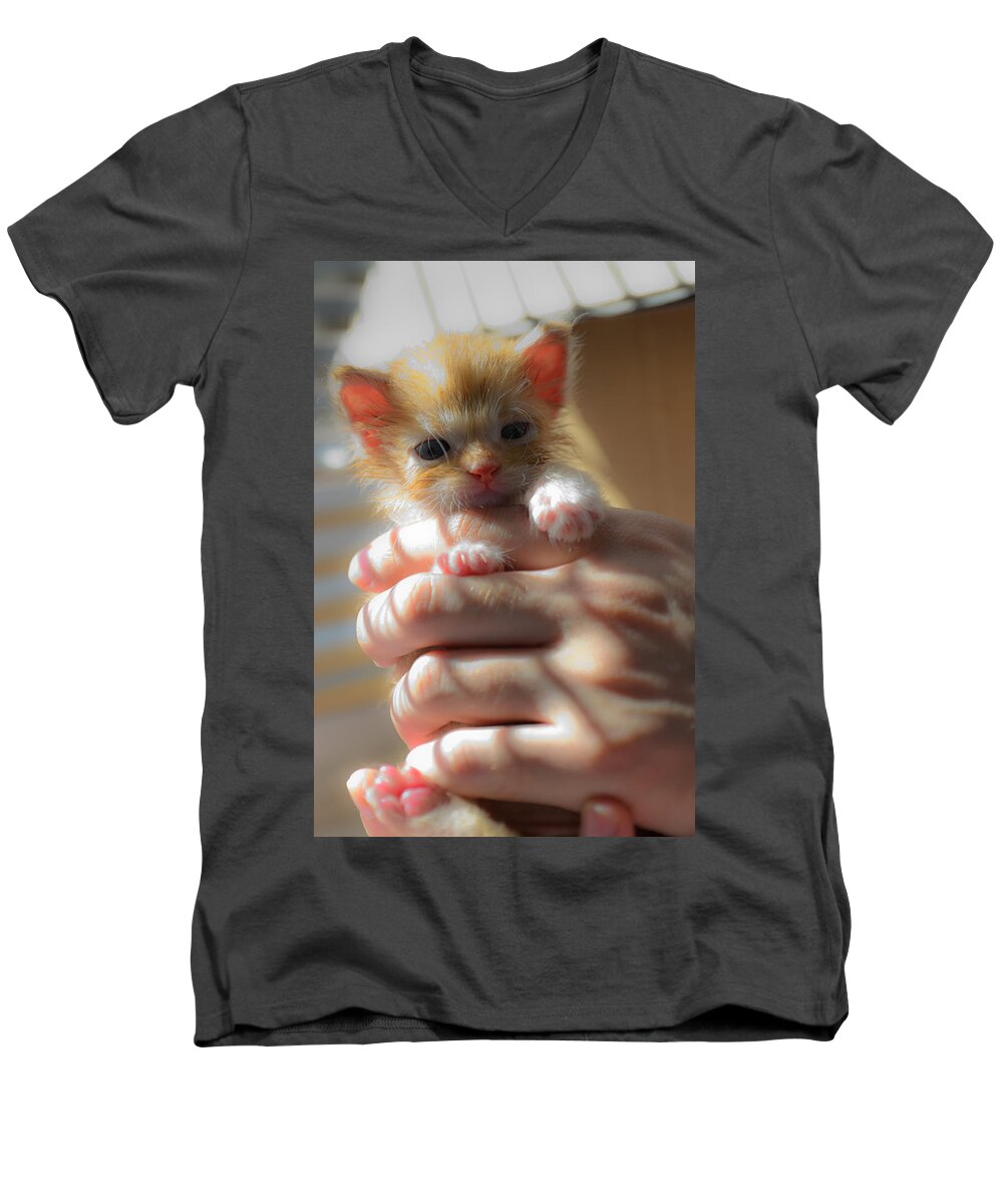 Animal Men's V-Neck T-Shirt featuring the photograph Kitty #5 by Michael Goyberg