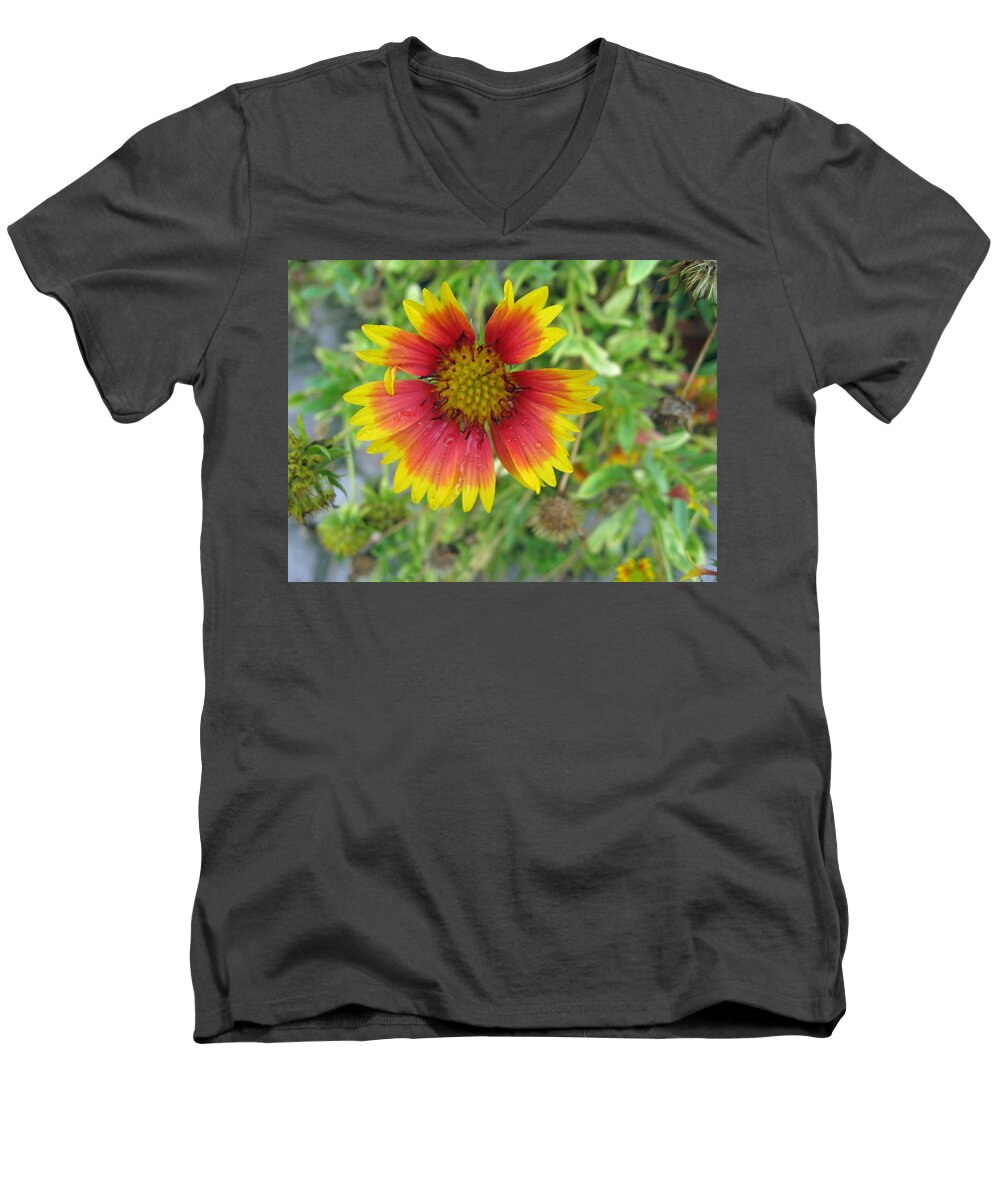 Flower Men's V-Neck T-Shirt featuring the photograph A beautiful Blanket Flower by Ashish Agarwal