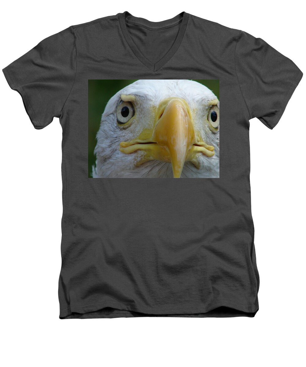 American Bald Eagle Men's V-Neck T-Shirt featuring the photograph American Bald Eagle by Randy J Heath
