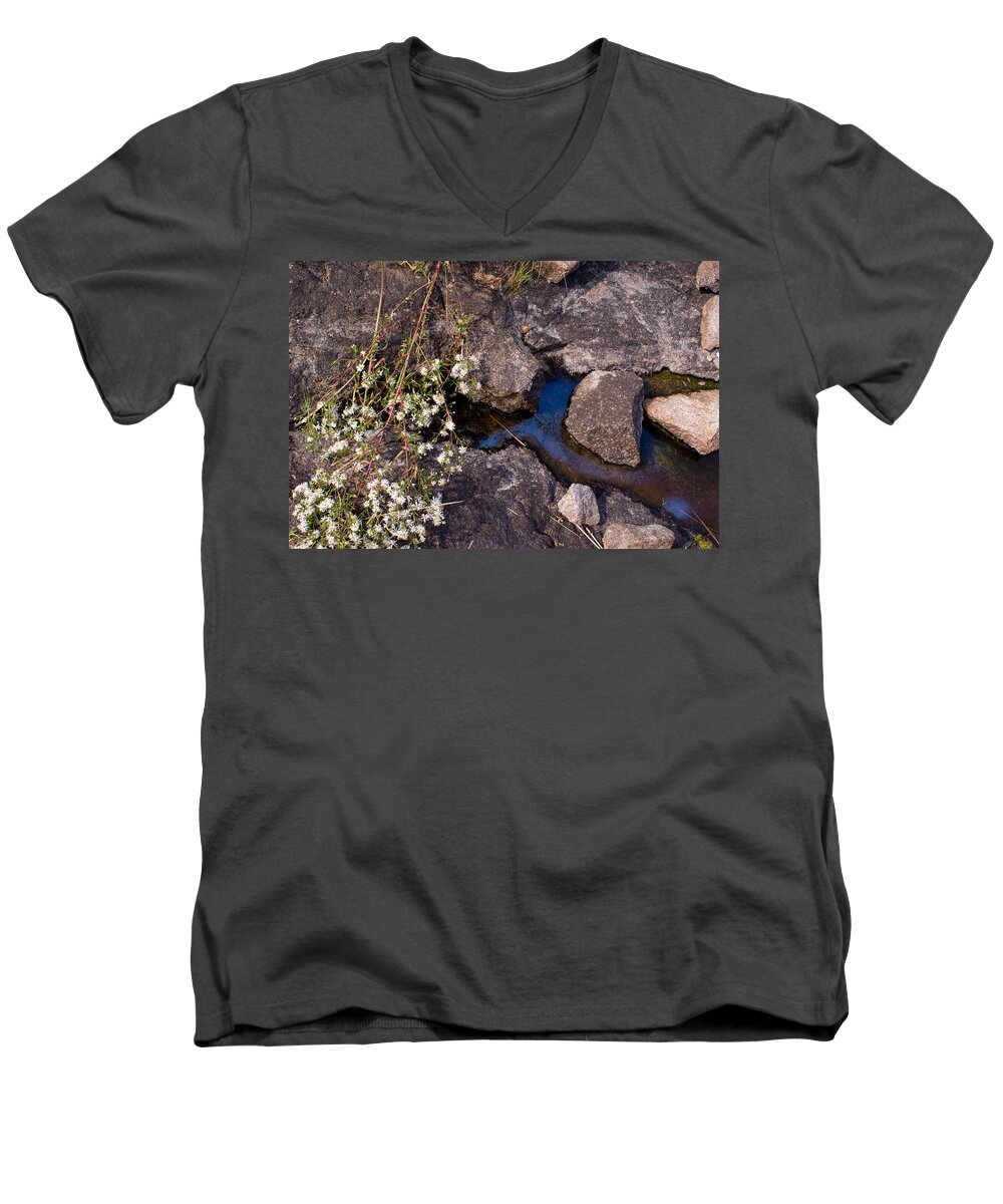 Trans Canada Trail Men's V-Neck T-Shirt featuring the photograph Another World III by Jo Smoley