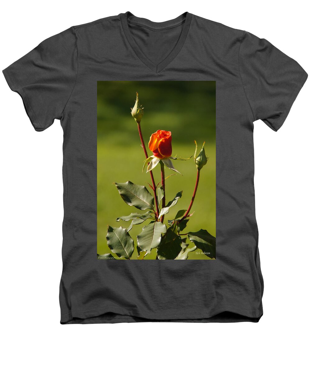 Rose Men's V-Neck T-Shirt featuring the photograph Autumn Rose by Mick Anderson