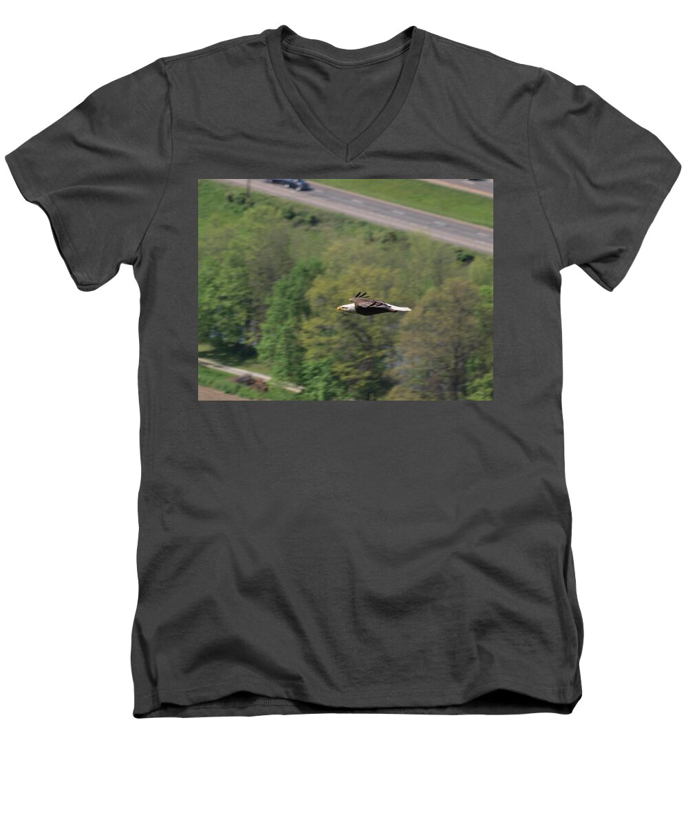 Bald Eagle Men's V-Neck T-Shirt featuring the photograph Bald Eagle In Flight One by Joshua House