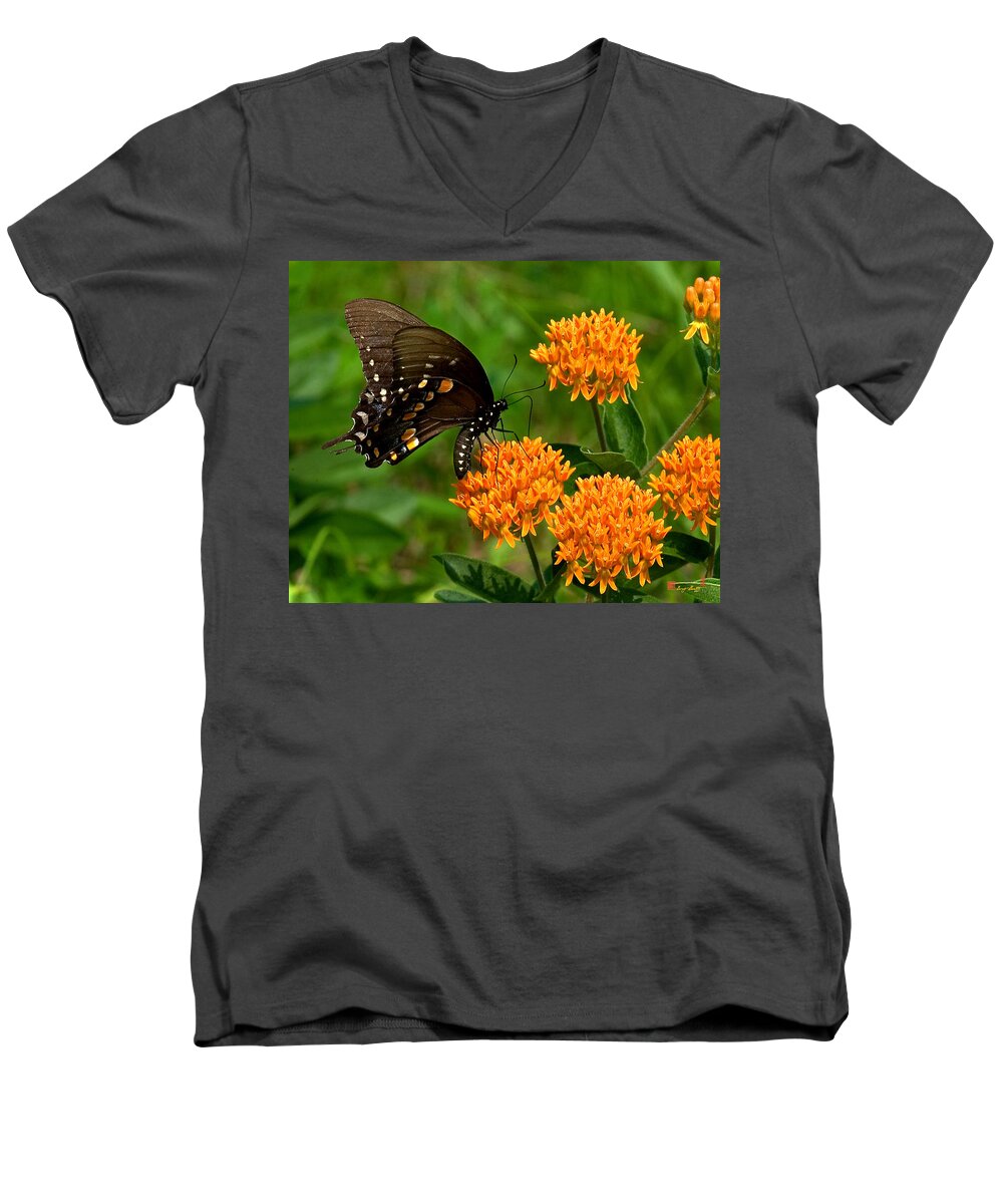Insect Men's V-Neck T-Shirt featuring the photograph Black Swallowtail Visiting Butterfly Weed DIN012 by Gerry Gantt