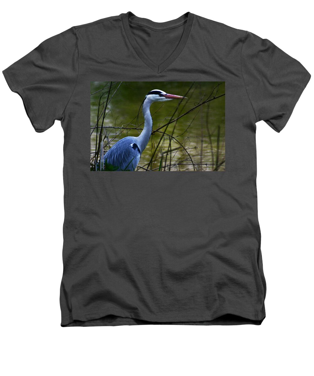 Vondelpark Men's V-Neck T-Shirt featuring the photograph Blue Heron Vondelpark Amsterdam by Benjamin Dahl