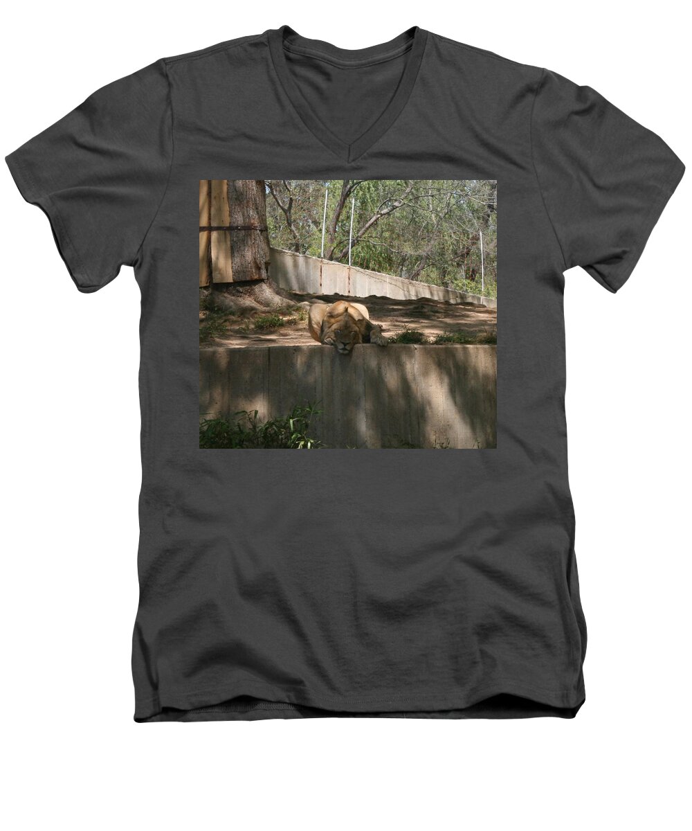 Lion Men's V-Neck T-Shirt featuring the photograph Cat Nap by Stacy C Bottoms