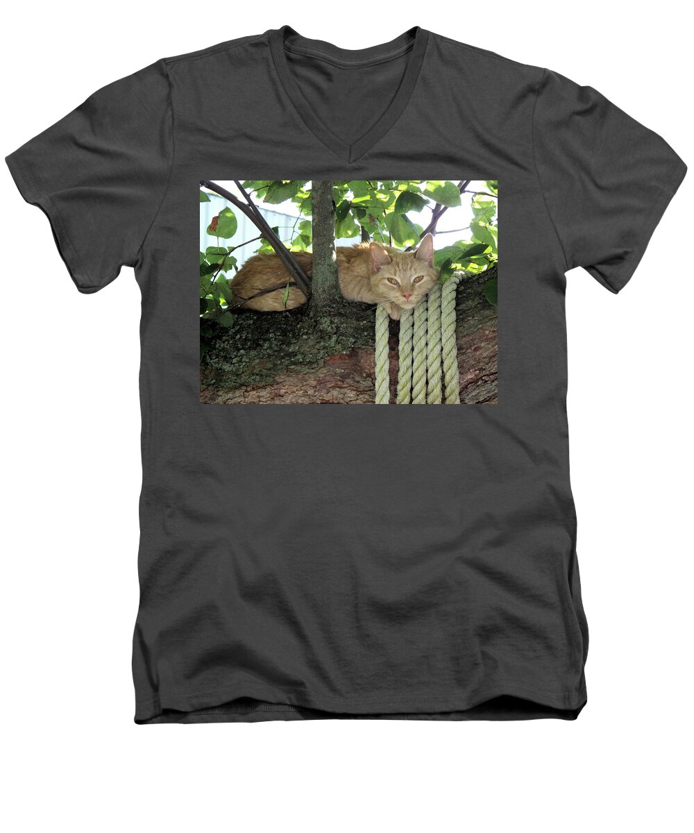 Tree Men's V-Neck T-Shirt featuring the photograph Catnap Time by Thomas Woolworth