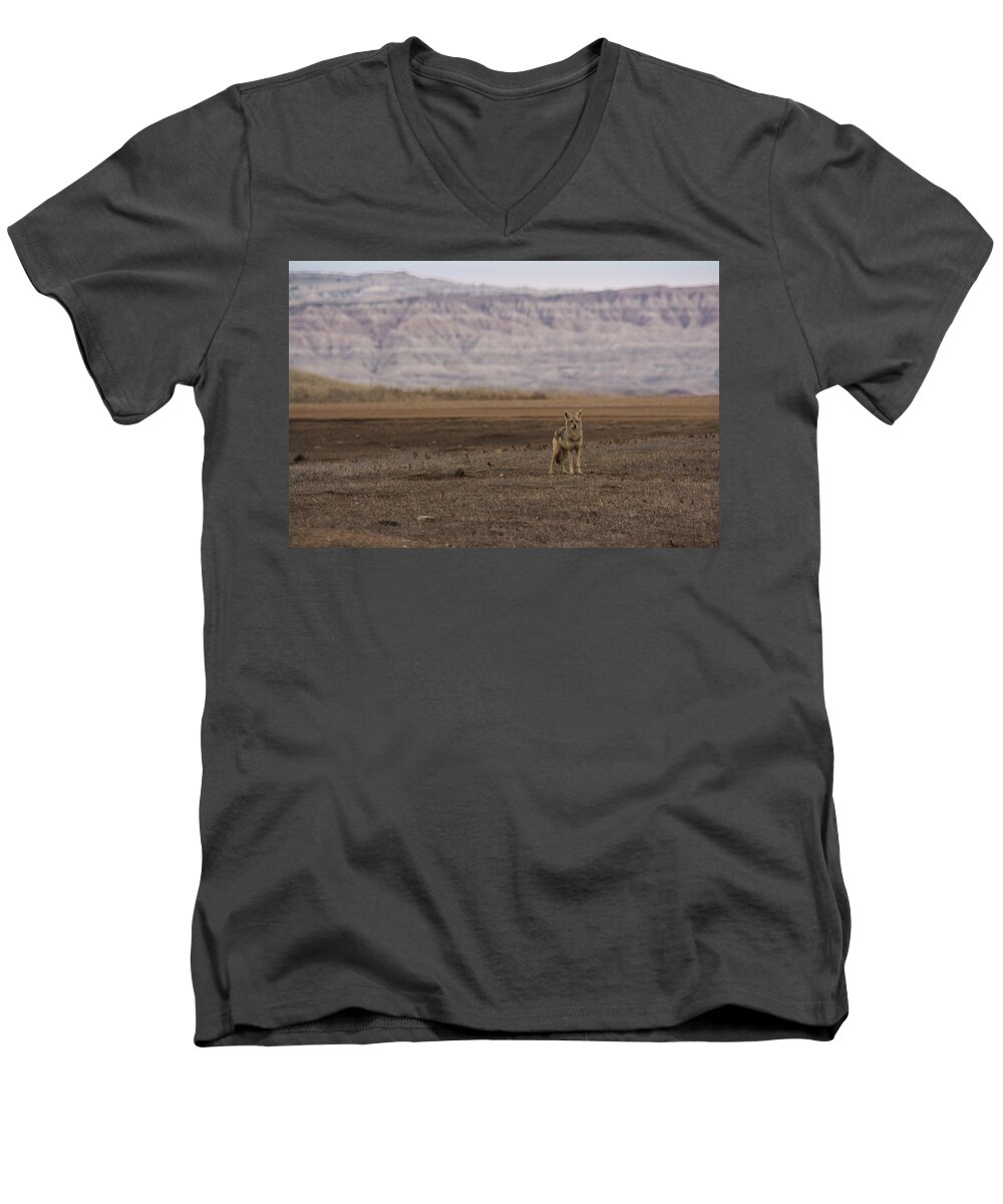 Coyote Men's V-Neck T-Shirt featuring the photograph Coyote Badlands National Park by Benjamin Dahl