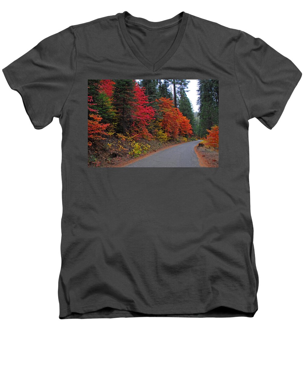 Sequoia National Park Men's V-Neck T-Shirt featuring the photograph Fall's Splendor by Lynn Bauer