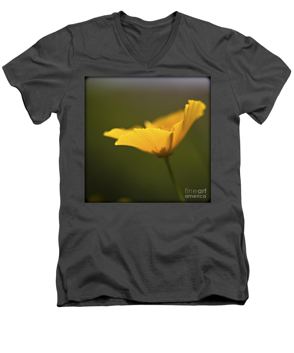 Golden Men's V-Neck T-Shirt featuring the photograph Golden afternoon. by Clare Bambers