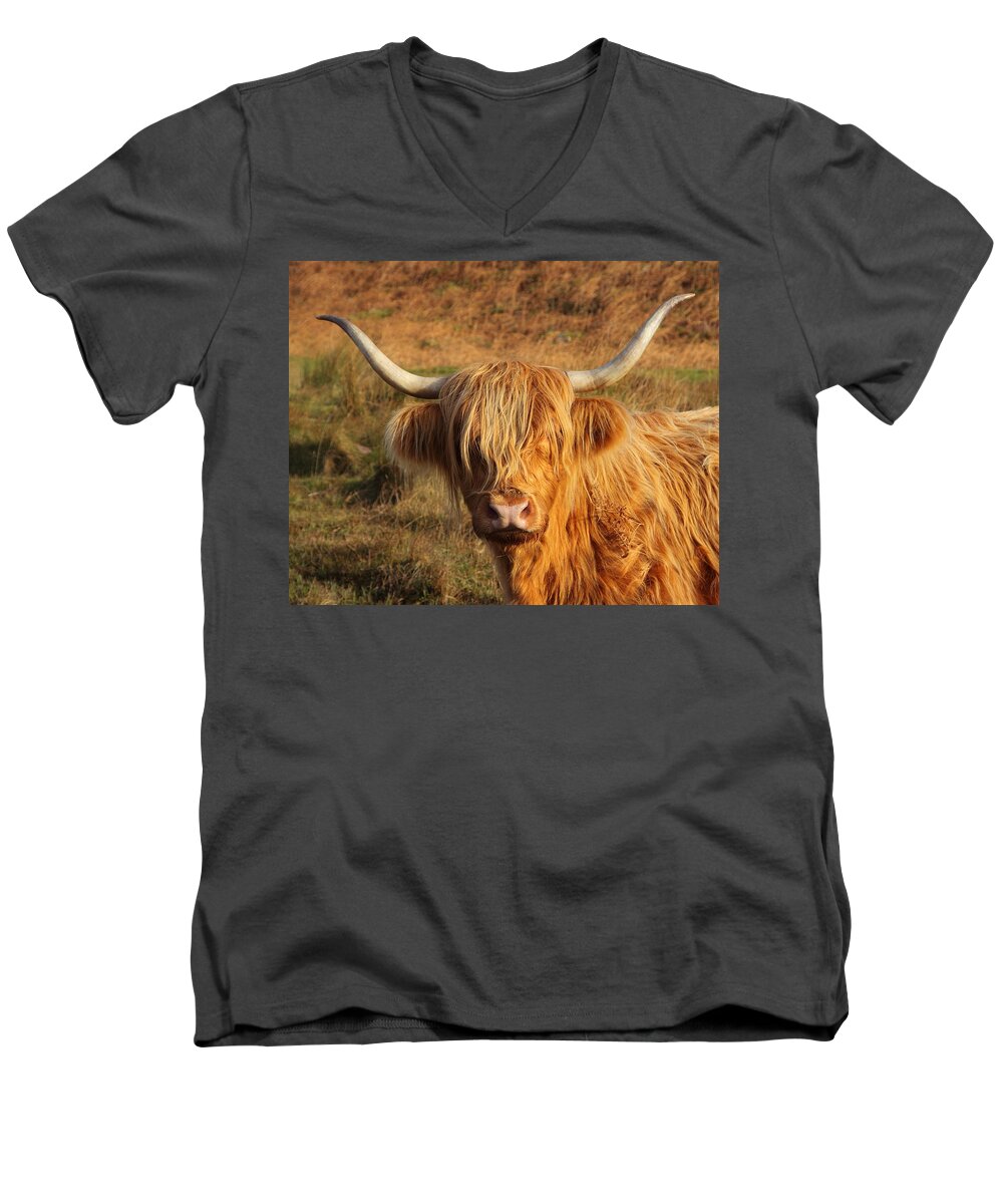 Cattle Men's V-Neck T-Shirt featuring the photograph Hairy Cow by Bruce J Robinson