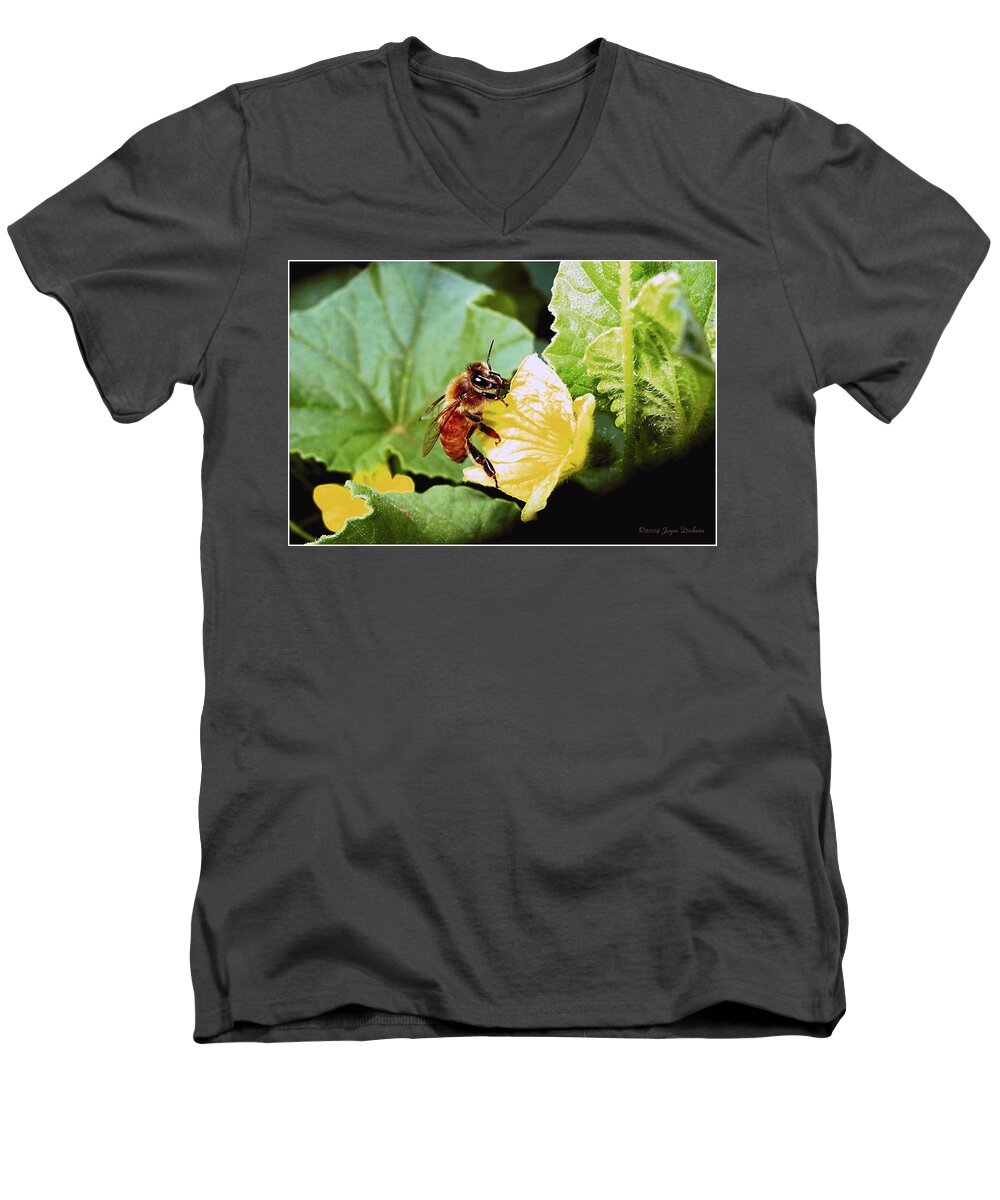 Bee Men's V-Neck T-Shirt featuring the photograph Honeybee and Cantalope by Joyce Dickens