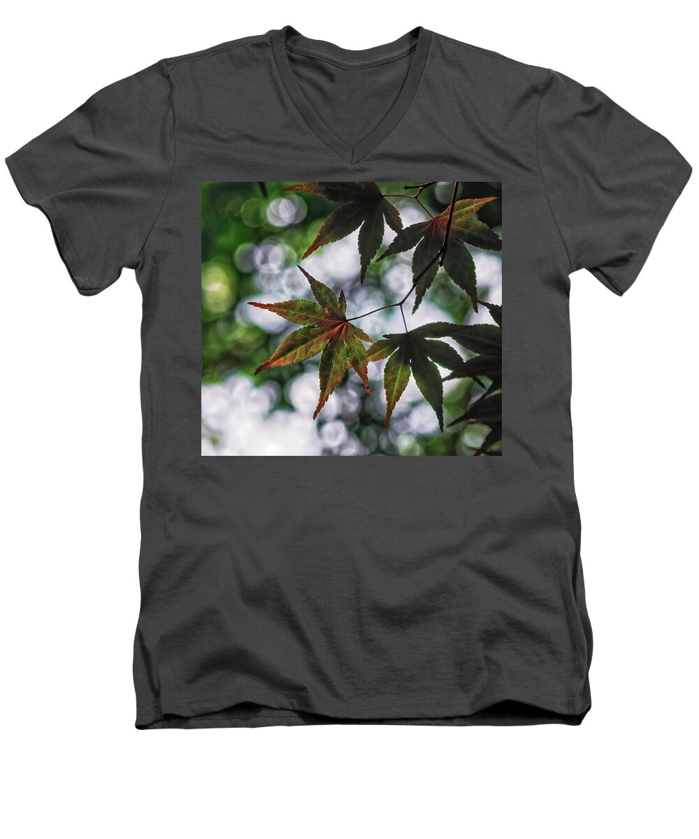 Da*55 1.4 Men's V-Neck T-Shirt featuring the photograph Japanese Maple by Lori Coleman