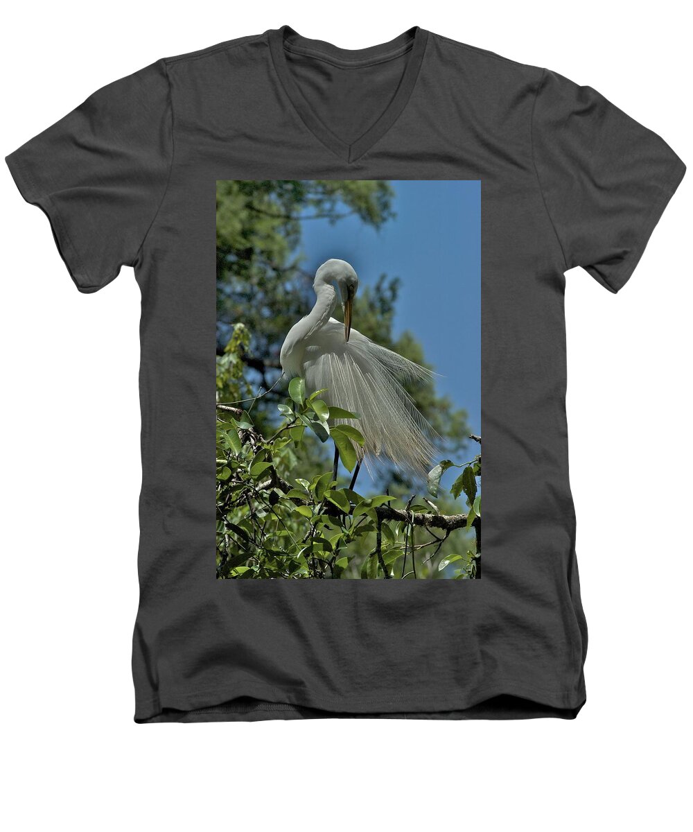 Florida Men's V-Neck T-Shirt featuring the photograph Just So by Joseph Yarbrough
