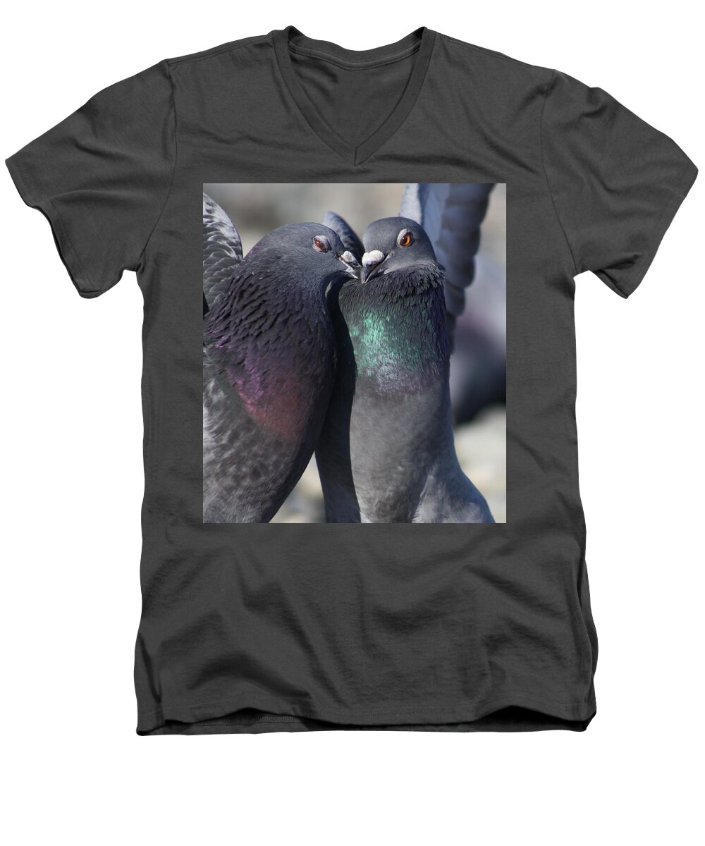 Love Men's V-Neck T-Shirt featuring the photograph Love Birds by Cathie Douglas