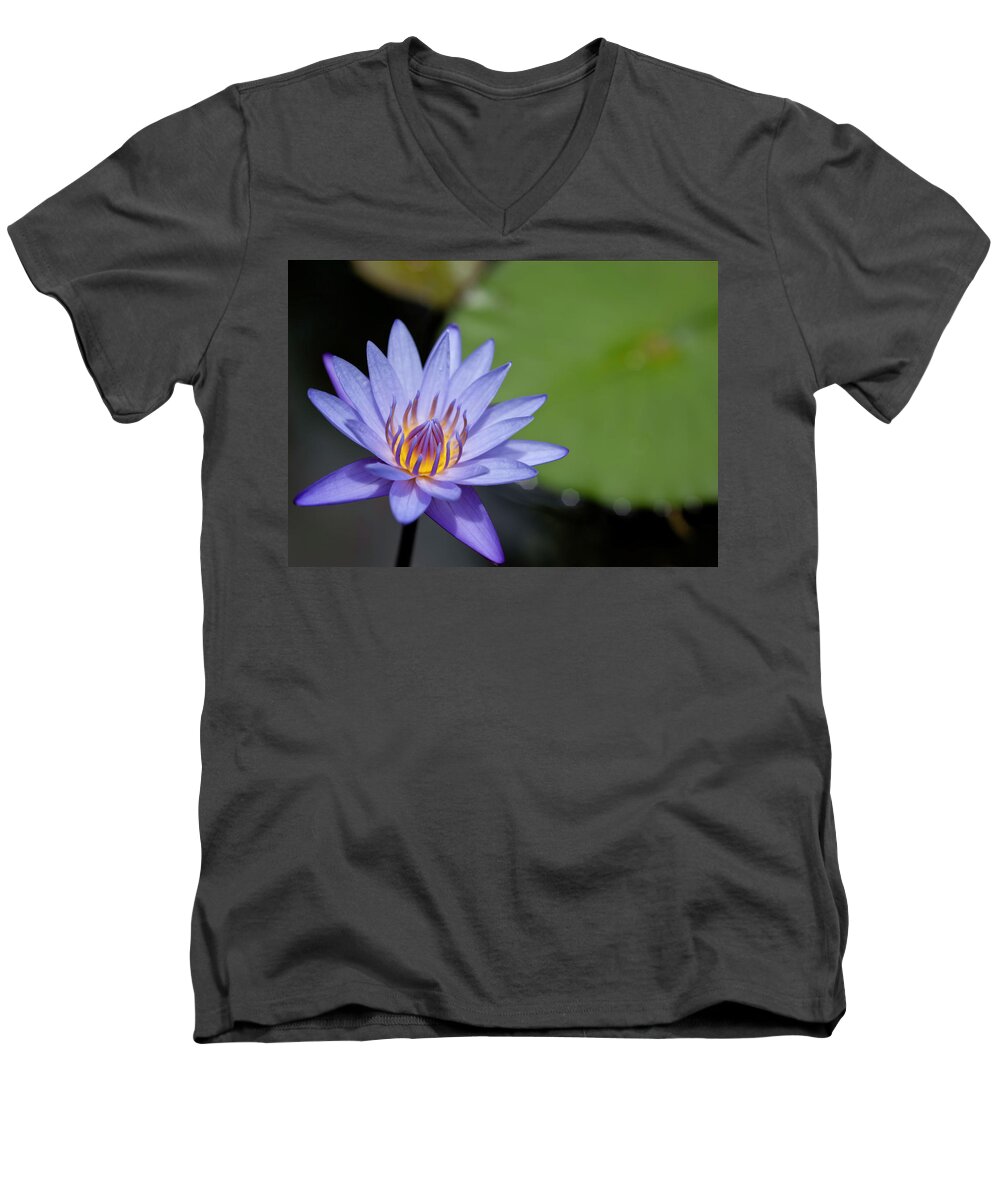 Hawaii Men's V-Neck T-Shirt featuring the photograph Lyon Arboretum Water Lily by Dan McManus