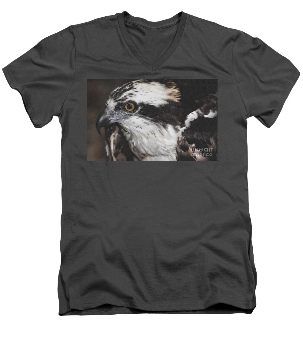 Osprey Men's V-Neck T-Shirt featuring the photograph Osprey by Lydia Holly