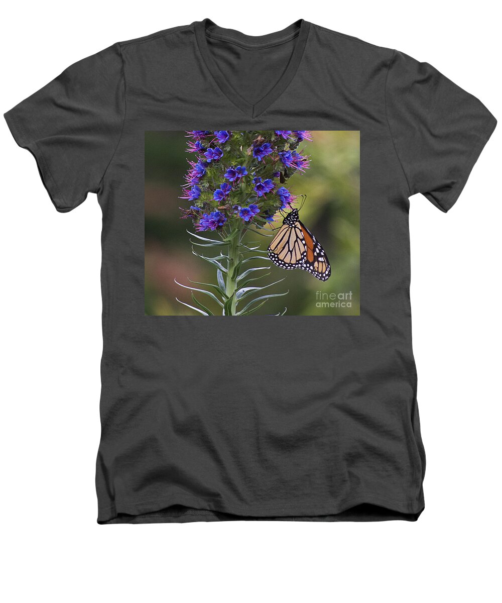 Monterey Men's V-Neck T-Shirt featuring the photograph Pacific Grove Monarch by Jim And Emily Bush