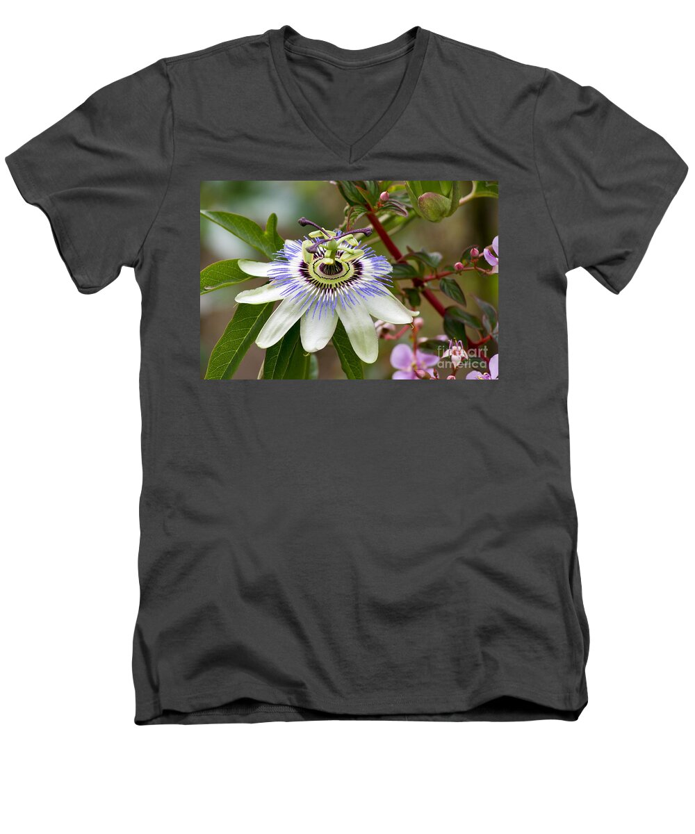 Flower Men's V-Neck T-Shirt featuring the photograph Passion Flower by Teresa Zieba