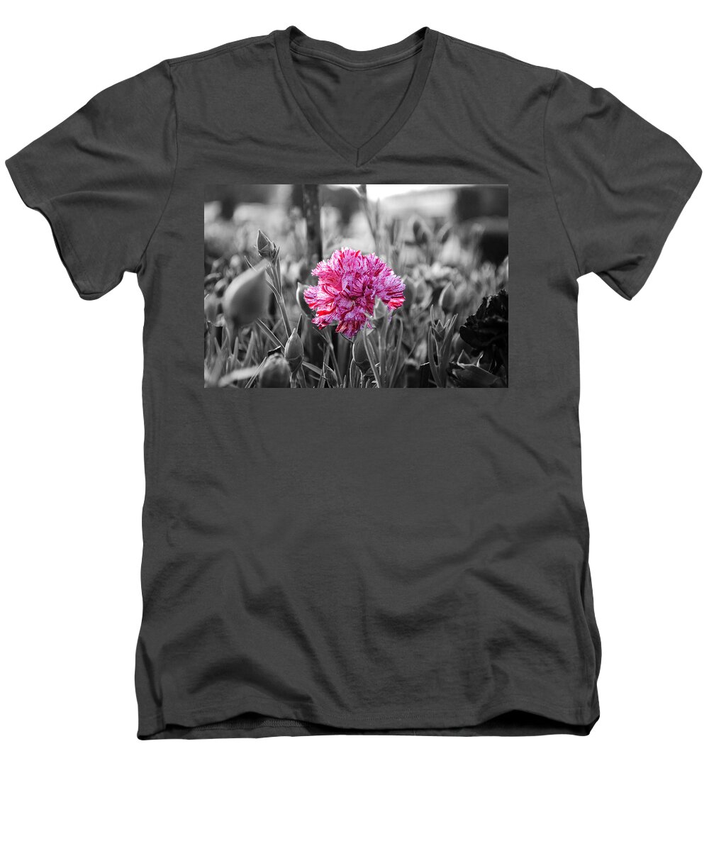 Pink Carnation Men's V-Neck T-Shirt featuring the photograph Pink Carnation by Sumit Mehndiratta