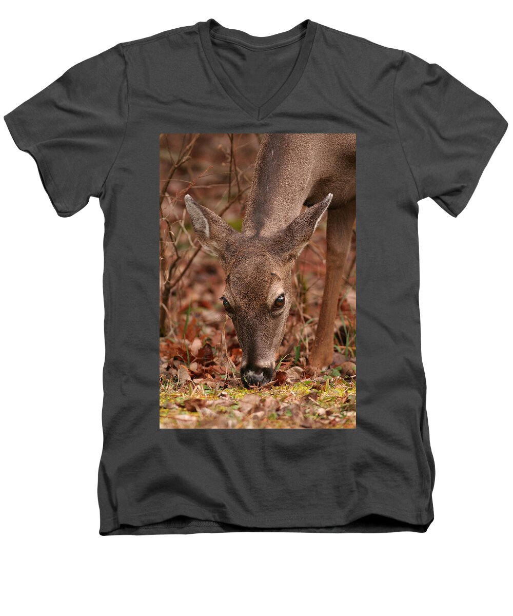 Odocoileus Virginanus Men's V-Neck T-Shirt featuring the photograph Portrait Of Browsing Deer Two by Daniel Reed