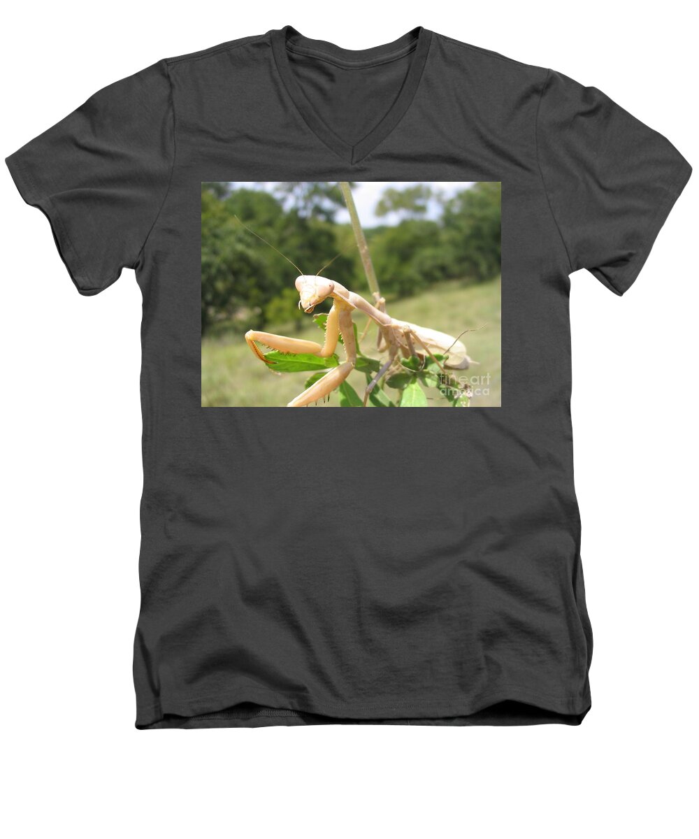 Bug Men's V-Neck T-Shirt featuring the photograph Preying Mantis by Mark Robbins
