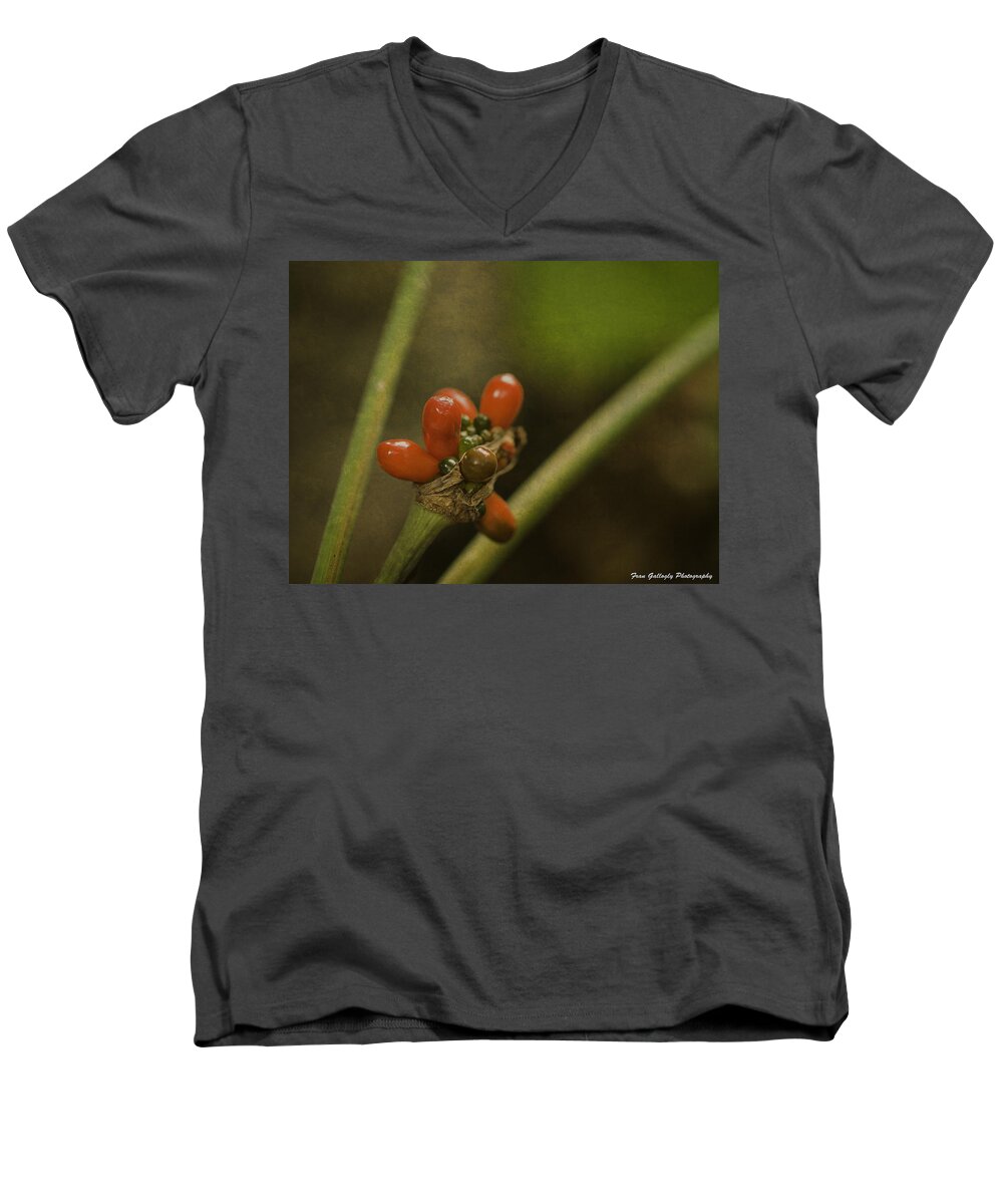 Flower Men's V-Neck T-Shirt featuring the photograph Red Berries by Fran Gallogly