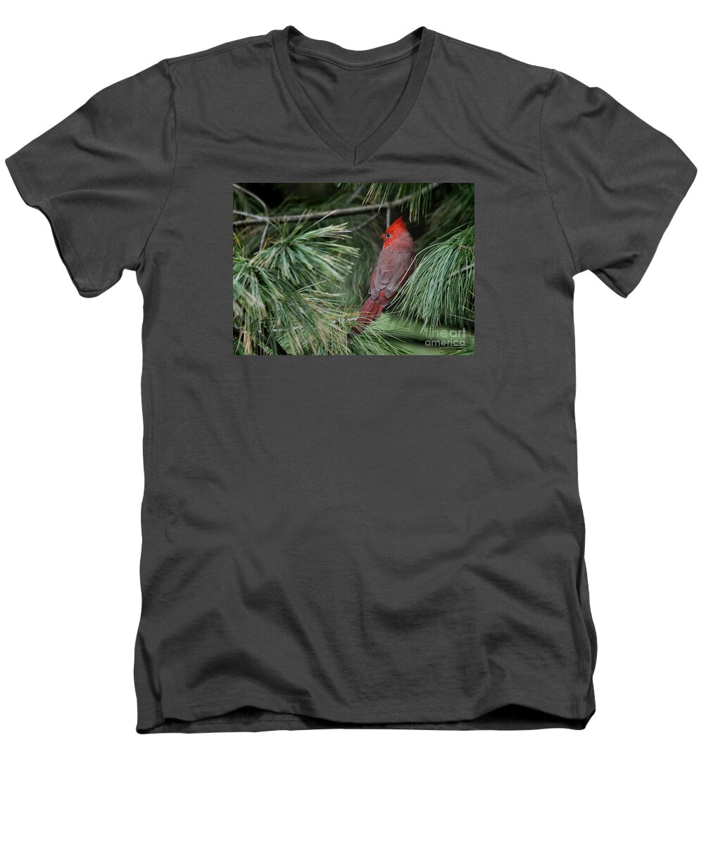 Nature Men's V-Neck T-Shirt featuring the photograph Red Cardinal in Green Pine by Nava Thompson