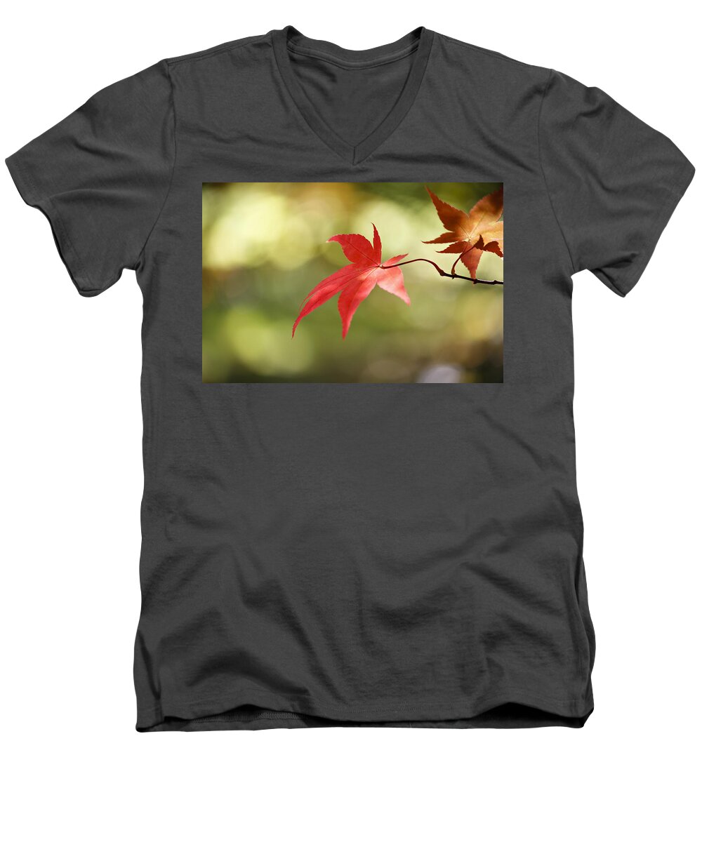 Japanese Men's V-Neck T-Shirt featuring the photograph Red leaf. by Clare Bambers