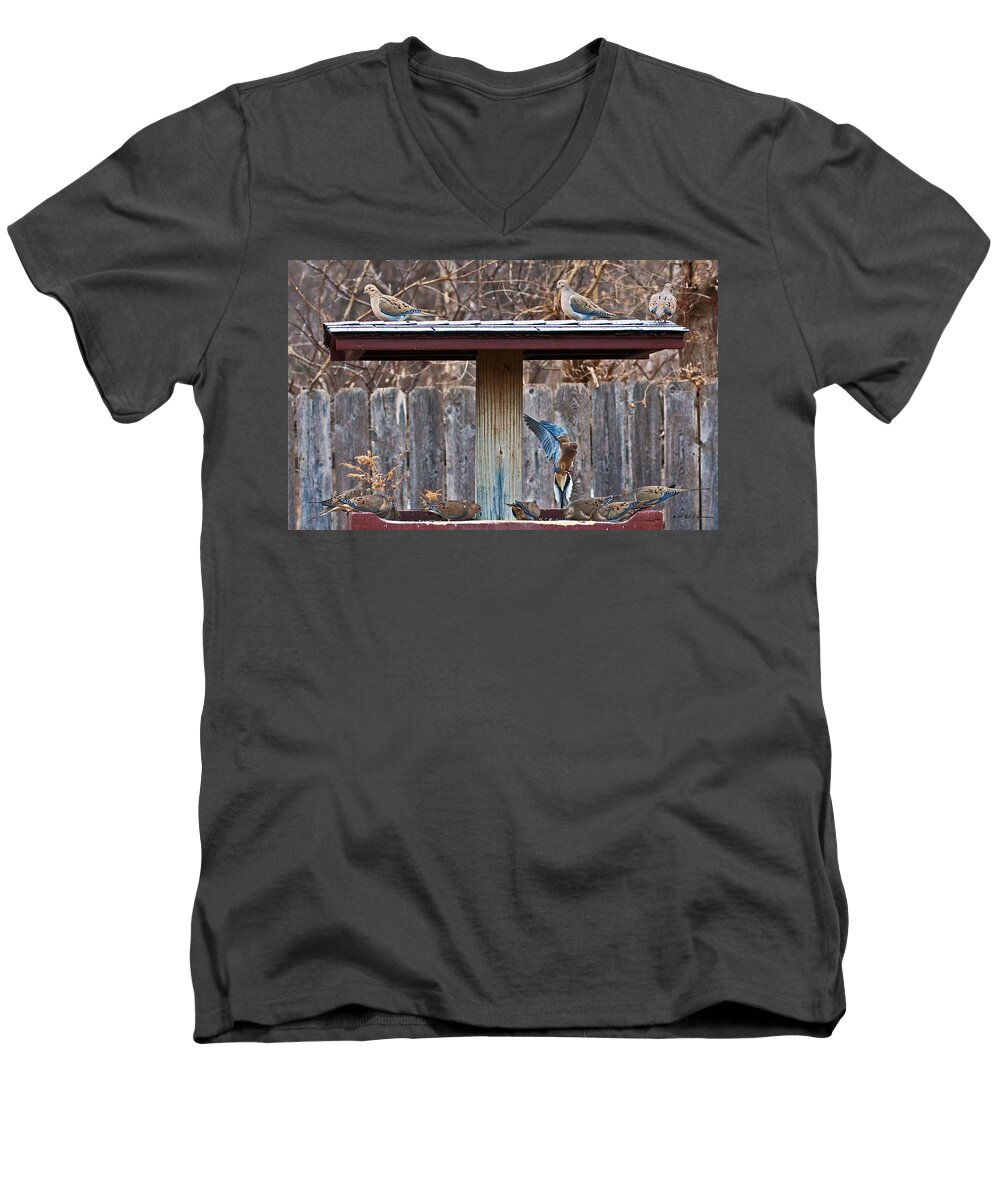 Heron Heaven Men's V-Neck T-Shirt featuring the photograph Room For One More by Ed Peterson
