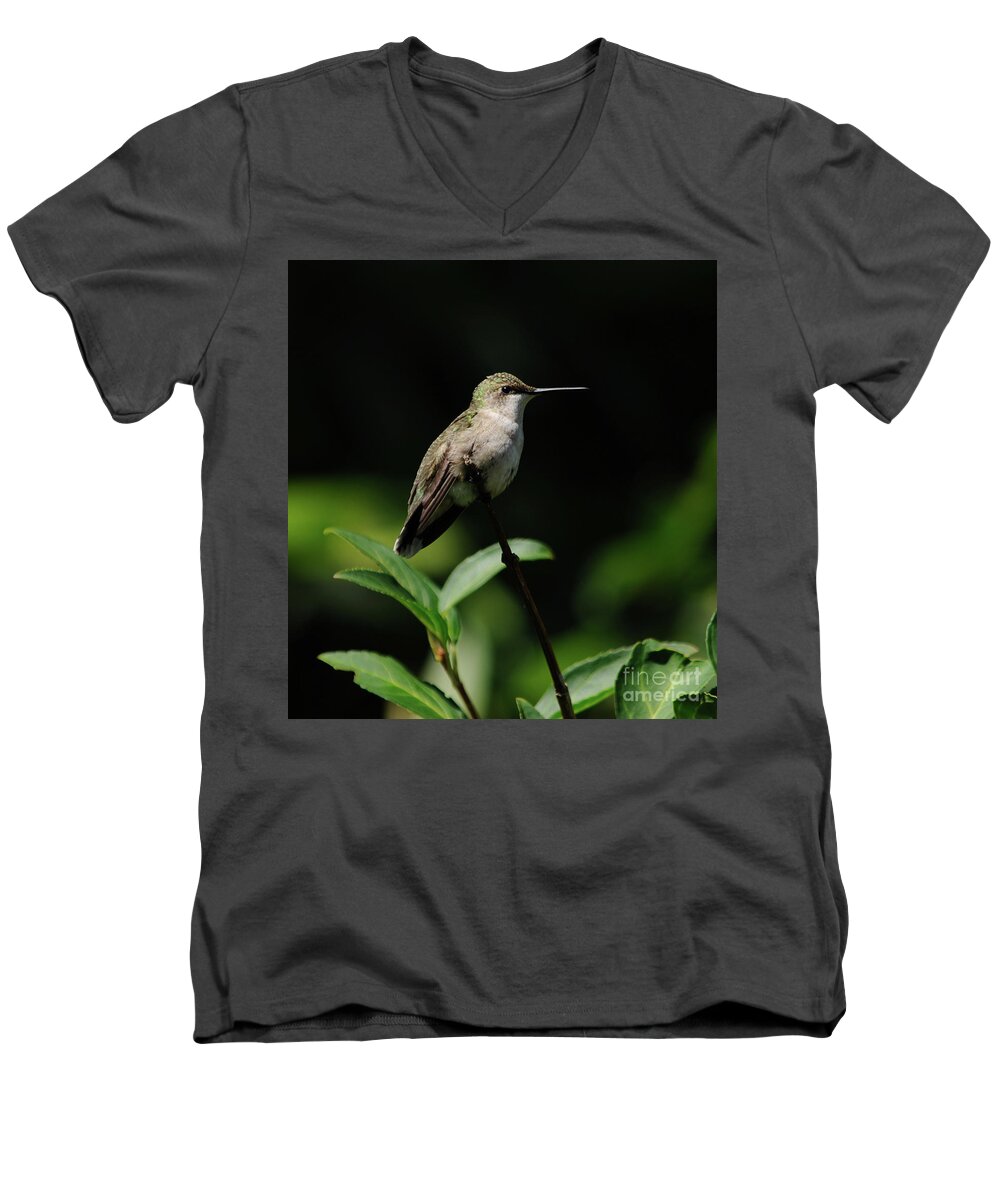 Green Men's V-Neck T-Shirt featuring the photograph Ruby-Throated Hummingbird Female by Ronald Grogan
