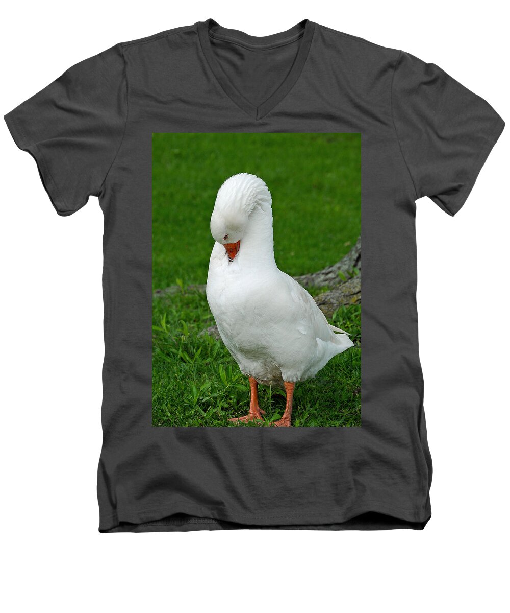 City Scenes Men's V-Neck T-Shirt featuring the photograph Shy Goose by Lisa Phillips