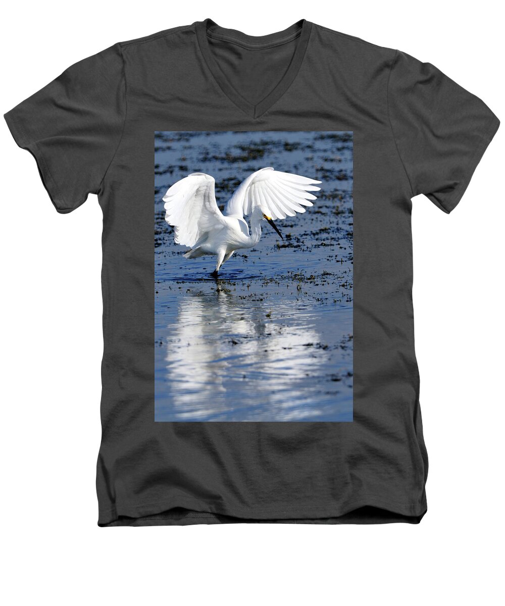 Snowy Men's V-Neck T-Shirt featuring the photograph Snowy Egret fishing by Bill Dodsworth