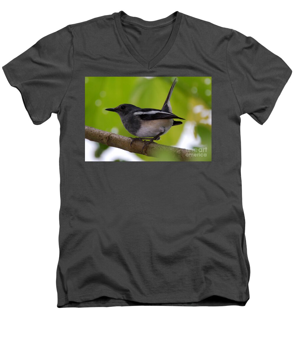 Magpie Men's V-Neck T-Shirt featuring the photograph Study of a Magpie-Robin by Fotosas Photography
